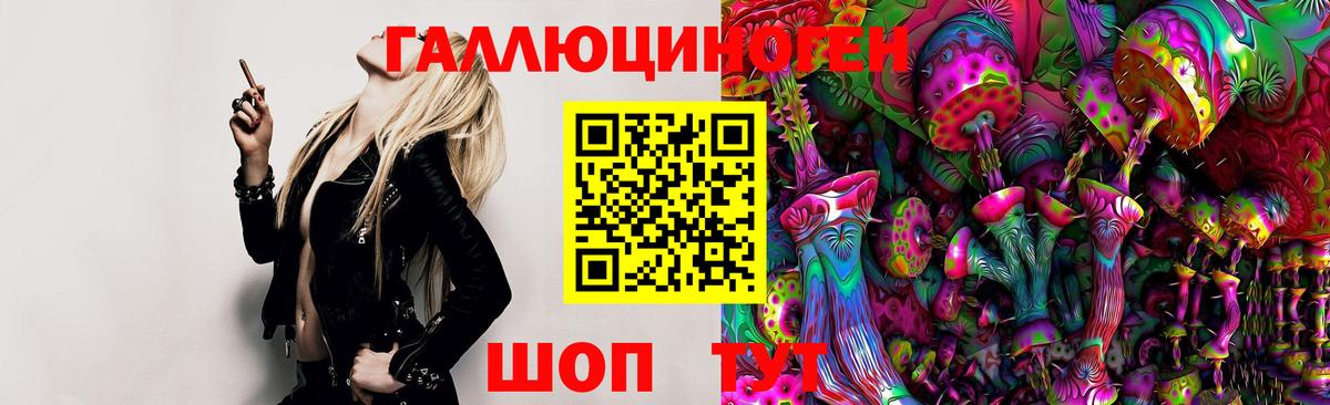 Псилоцибиновые грибы GOLDEN TEACHER Пенза