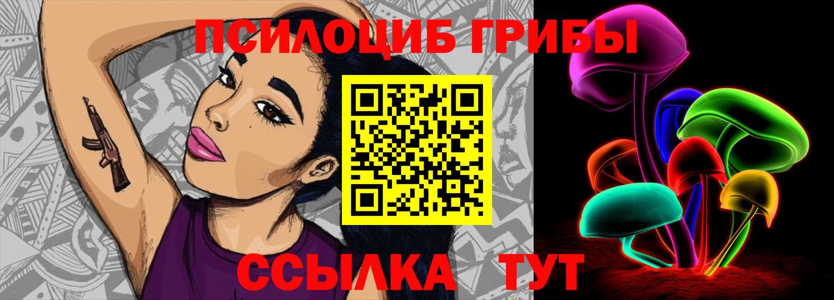 Пенза  Псилоцибиновые грибы ЛСД  Вход с VPN 